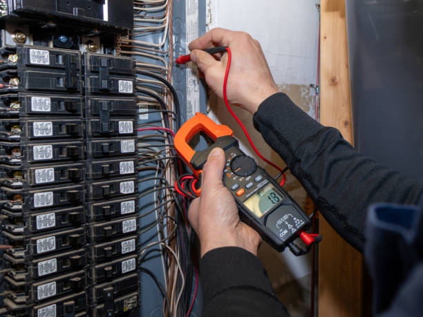 Best Local Electrician Companies  in Mapleton, ND