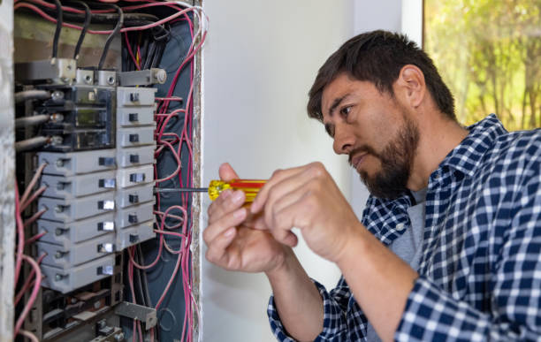 Best Generator Installation Services  in Mapleton, ND